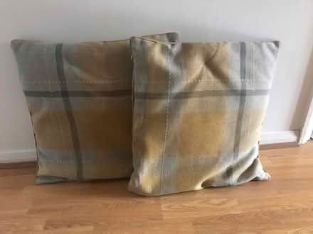 Photo of free Cushions (Sele Farm, Hertford SG14) #1