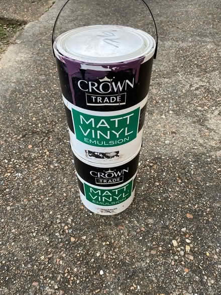 Photo of free Purple Matt Vinyl Emulsion (Sittingbourne ME10) #1