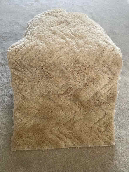 Photo of free Bath Mat. (Findern DE65) #1