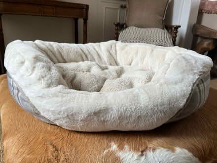 Photo of free Dogs bed (Grove Rd Windsor SL4) #4
