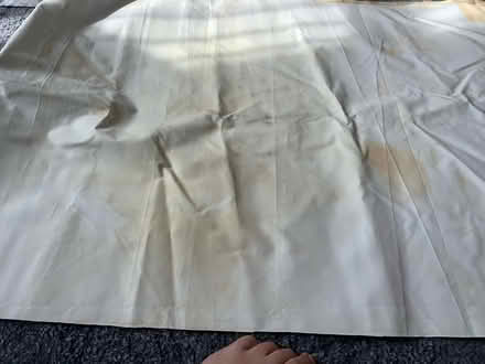 Photo of free Plastic sheet 2 sheets (Oakwood LS8) #3