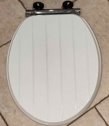 Photo of free New white toilet seat (CT21) #1