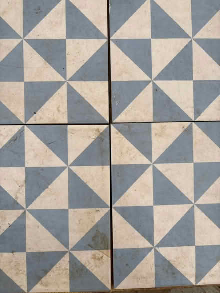 Photo of free Tiles (Lewes nevill) #1