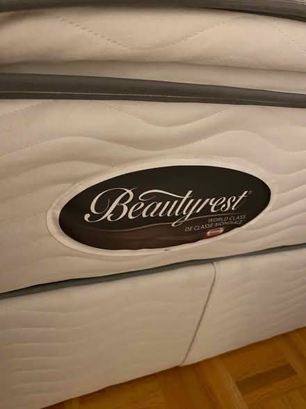 Photo of free Queen sized bed & mattress (Hurontario & Eglinton) #4