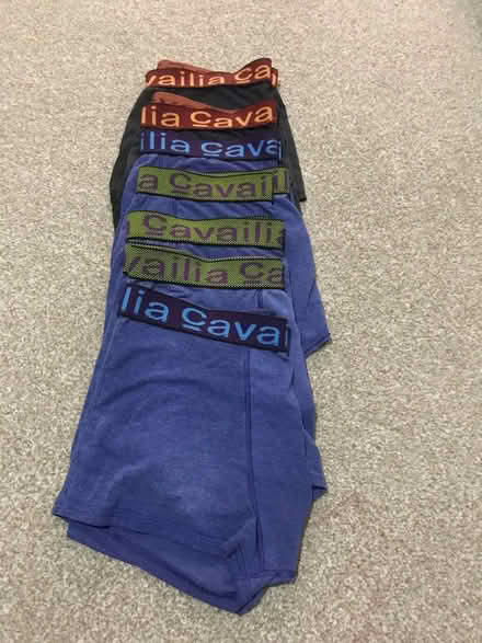 Photo of free Large boxers (OX29) #1