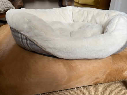 Photo of free Dogs bed (Grove Rd Windsor SL4) #3
