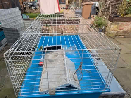 Photo of free Guinea Pig/Rodent cage (Arnold NG5) #3