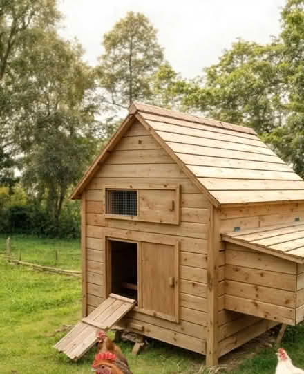 Photo of Rabbit hutch or chicken coop (Ballynahinch BT24 8WD) #2