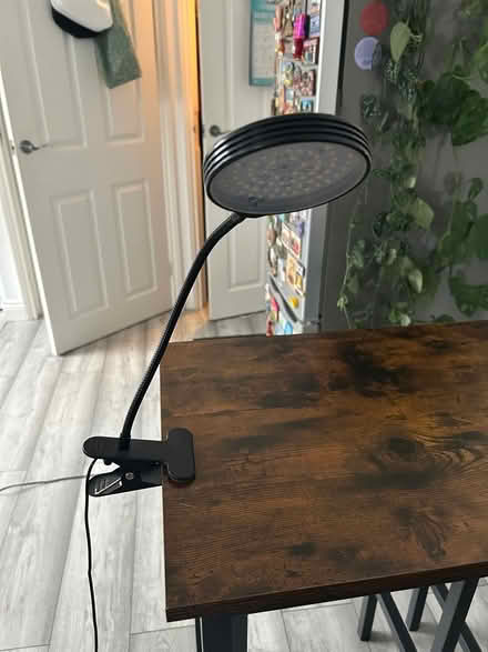 Photo of free USB grow lamp (Far Cotton, Northampton) #1
