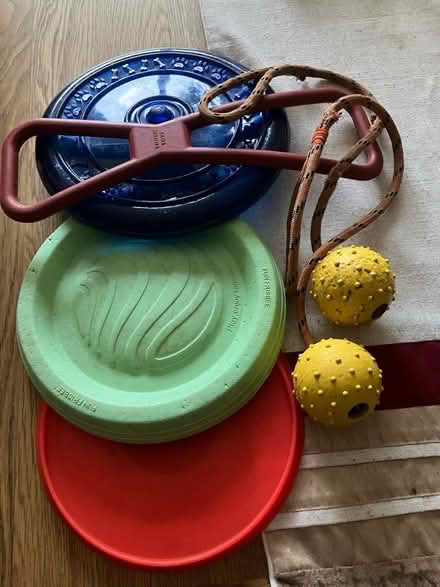 Photo of free Dog toys (St John's TN13) #1