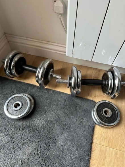 Photo of free Dumbbells 2x10kg (Loughton IG10) #2