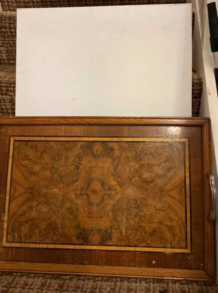 Photo of free Trays and canvas for painting (Croydon. CR2 9) #1