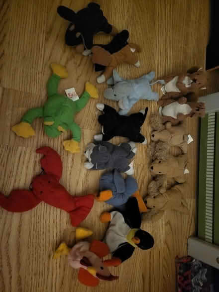 Photo of free Small ty teddies (Dawsons Corner LS28) #1