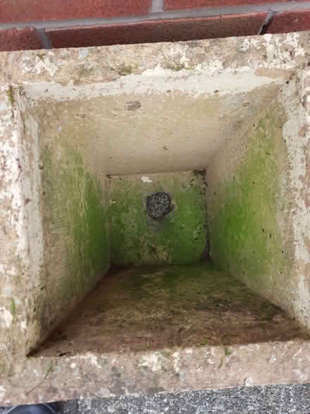 Photo of free Very heavy garden planter with drainage hole (Stanley Gate L39) #2