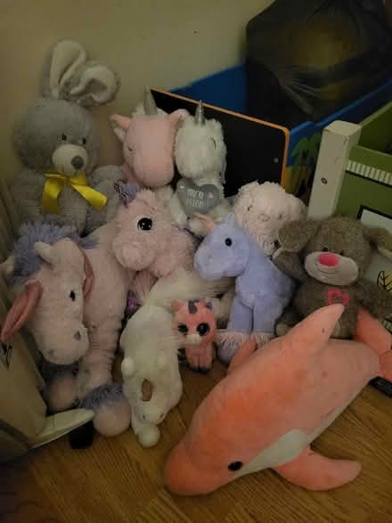 Photo of free Girlie teddies (Dawsons Corner LS28) #1