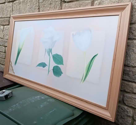 Photo of free framed picture (Bussage GL6) #1