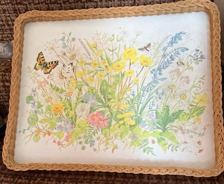 Photo of free Trays and canvas for painting (Croydon. CR2 9) #2