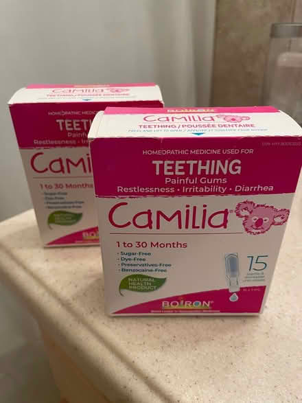 Photo of free Camilia Teething (Rogers Rd and Keele St) #1