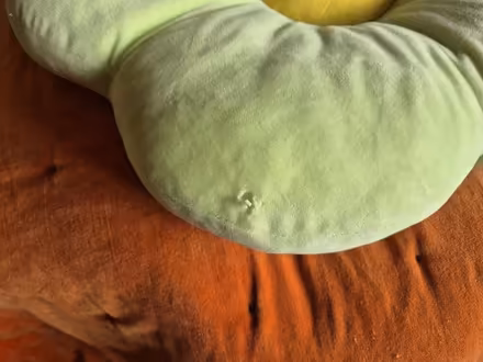 Photo of free 2 x Green & Yellow Flower Cushions (Clerwood EH12) #3