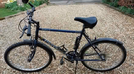 Photo of free Adult mountain Bike (LE17 : Frolesworth) #1