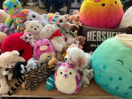 Photo of free Assorted Stuffed Animals (S. Leesburg near Banshee Reeks) #2