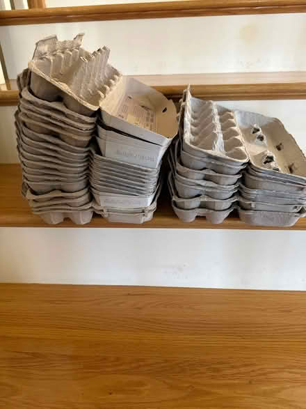 Photo of free 24 cardboard egg cartons (Groton near Boutwell School) #1