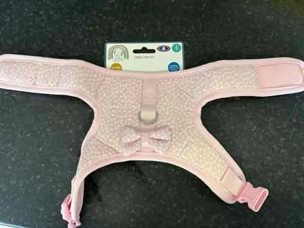 Photo of free Small puppy harness (Hailsham BN27) #2