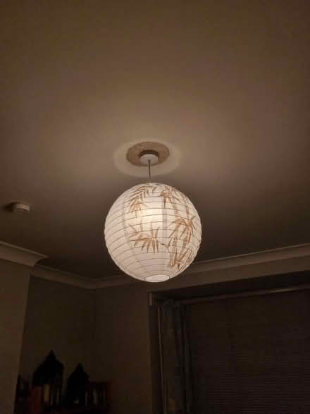 Photo of free Paper lantern with leaf pattern (Bearwood B67) #2