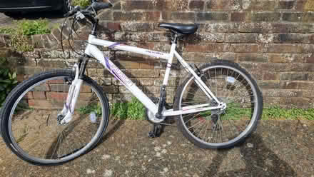 Photo of free Apollo Elusion bike (Lewes BN7) #1
