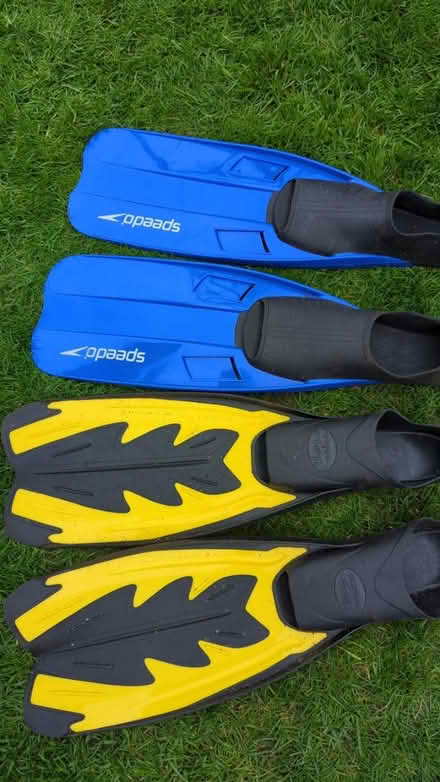 Photo of free Flippers (Churchdown) #1