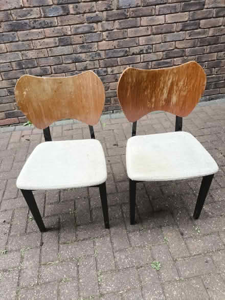 Photo of free Retro dining chairs (HA7. Nr Stanmore station) #1