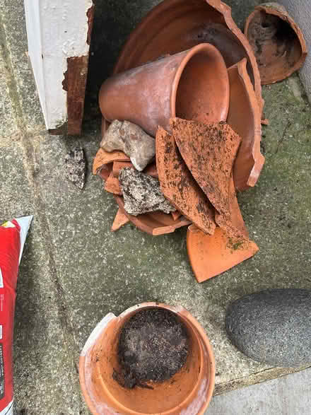 Photo of free Broken terracotta pot pieces (Colliers Wood SW19) #1