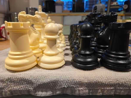 Photo of free Garden chess set (South Ascot SL5) #2