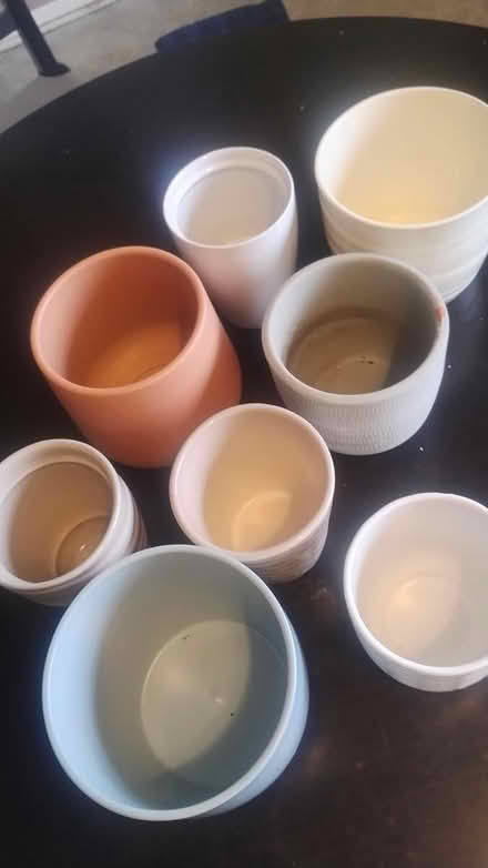Photo of free Planters for house plants (Bexley DA5) #2