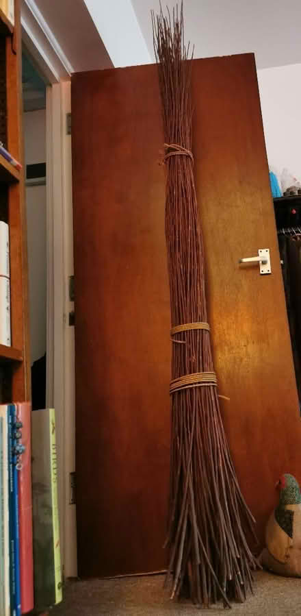 Photo of free Willow sticks (Eastbourne) #1