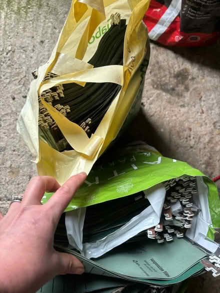 Photo of free A4 hanging files (SK17 Buxton) #2