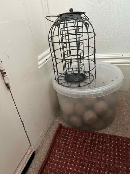Photo of free Fat ball bird feeder and fat balls (Wokingham RG40) #1