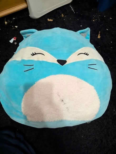 Photo of free Large Squishmallow (Heath & Reach LU7) #1