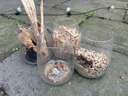 Photo of free Four glass jars with wood chippings (Loughborough LE11) #1