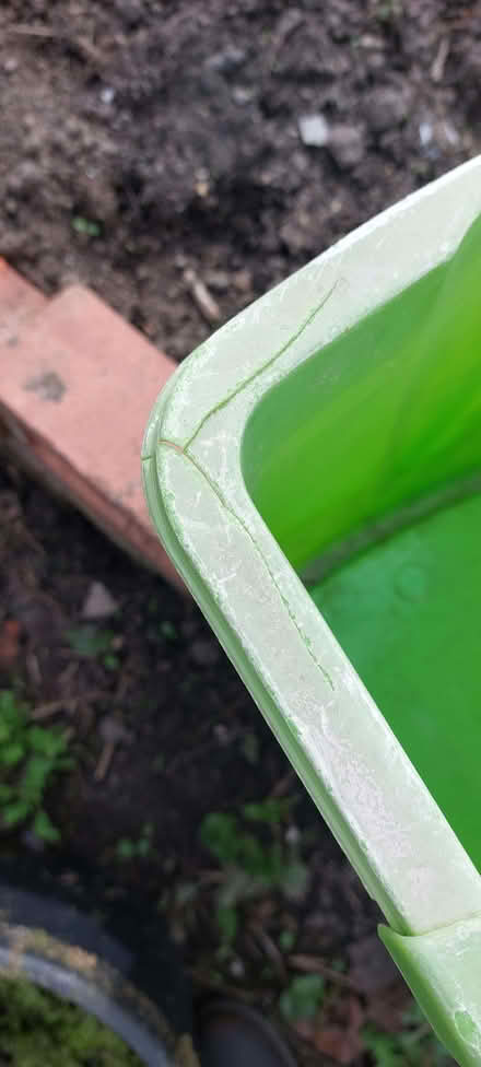 Photo of free Green mop bucket (Oswestry SY11) #3
