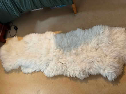 Photo of free 2x sheepskin rugs and brush (Batford AL5) #1