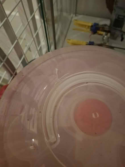 Photo of free Cupcake carriers x2 (TN24) #3