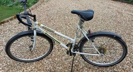 Photo of free Adult Mouintain Bike (LE17 : Frolesworth) #1