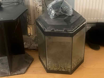 Photo of free Large hexagonal fish tank (Addiscombe CR0) #1