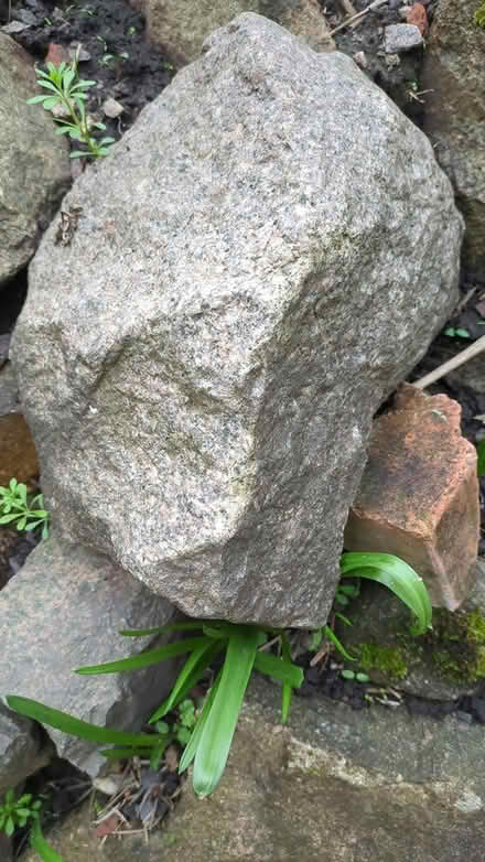 Photo of Granite Stones (Markfield LE67) #1