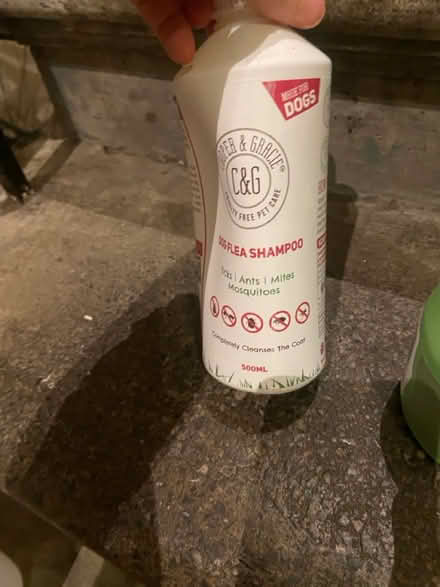 Photo of free Anti flea shampoo (N1 St Mary’s Church Islington) #1