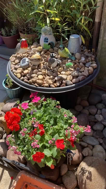 Photo of free Garden items (Southport PR9) #2