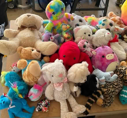 Photo of free Assorted Stuffed Animals (S. Leesburg near Banshee Reeks) #3