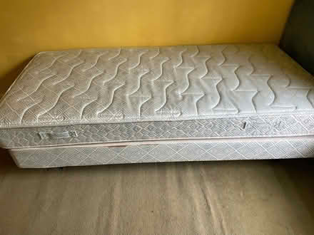 Photo of free Single bed Myers with nice velvet headband (Cockfosters EN4) #3