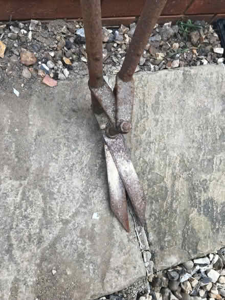 Photo of free Vintage long-handle shears. (Wootton OX13) #1